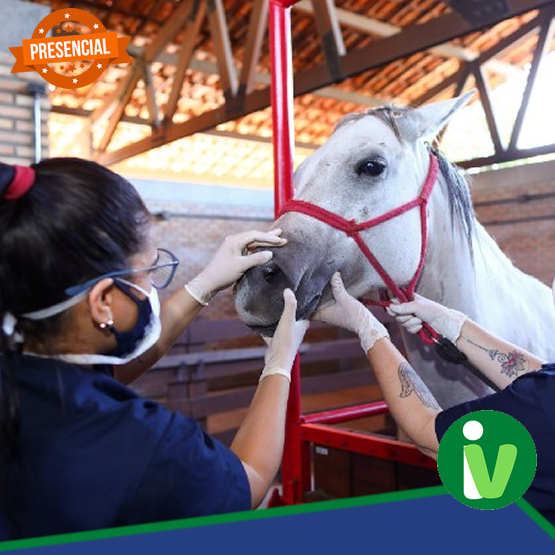 Auxiliar de Veterinária e Capatazia para Animais de Grande Porte