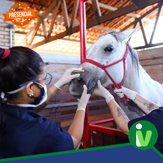 Instituto Vet