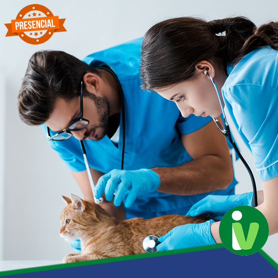 Curso de Auxiliar de Médico Veterinário de Pequenos Animais