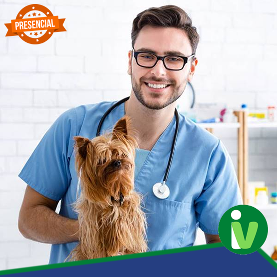 Curso de Plantonista e Emergência Veterinária