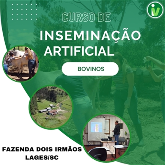 Instituto Vet
