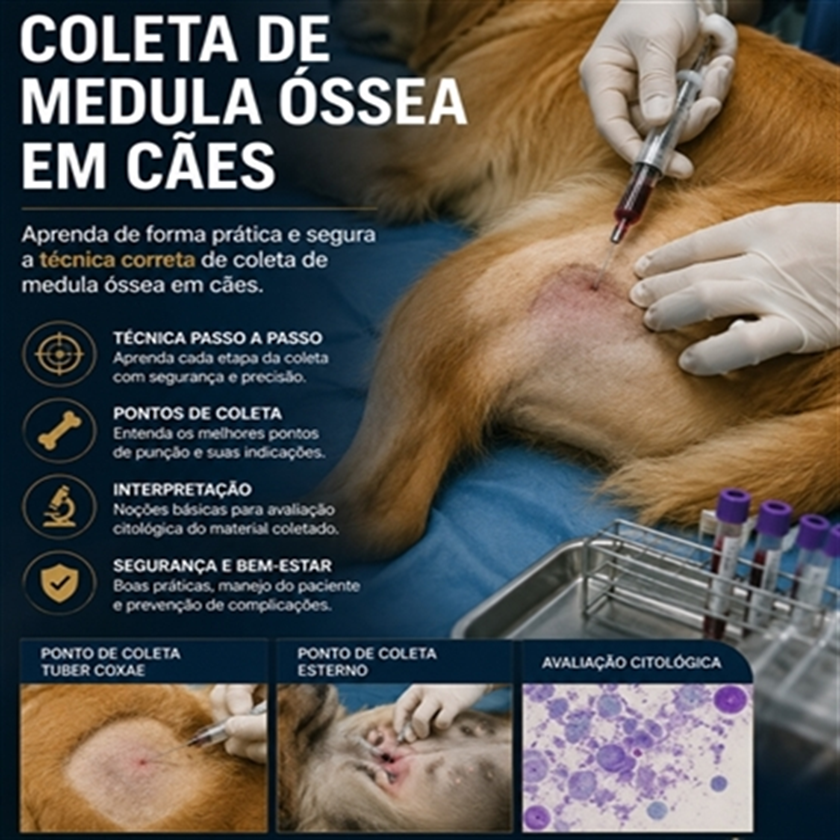 Curso de Coleta de Medula Óssea em Cães e Gatos