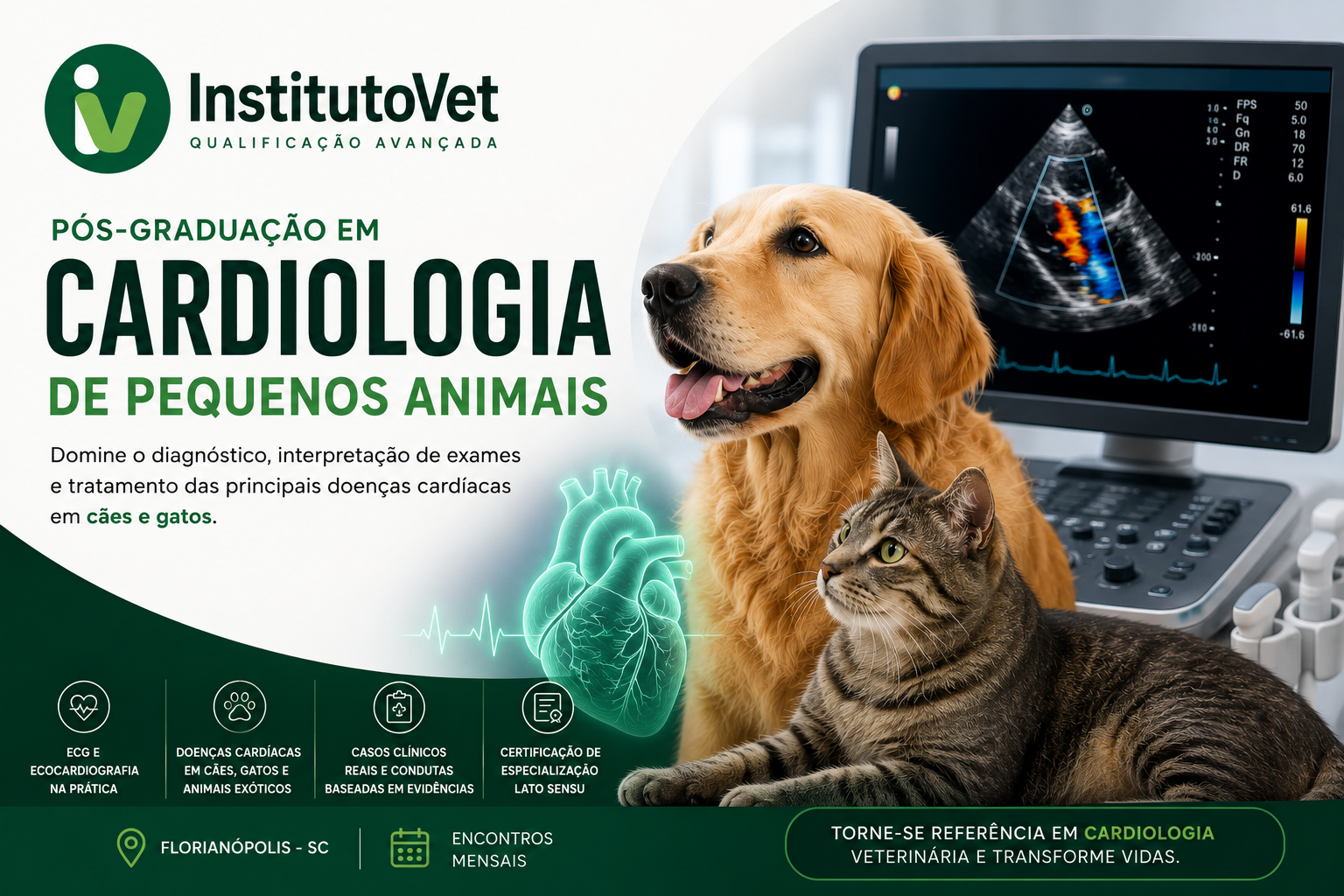 Instituto Vet