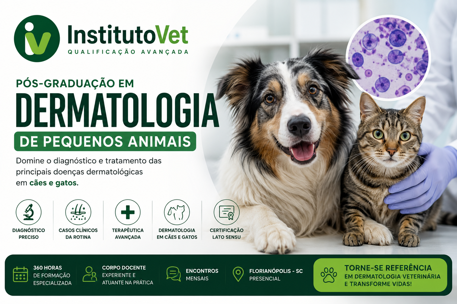 Instituto Vet