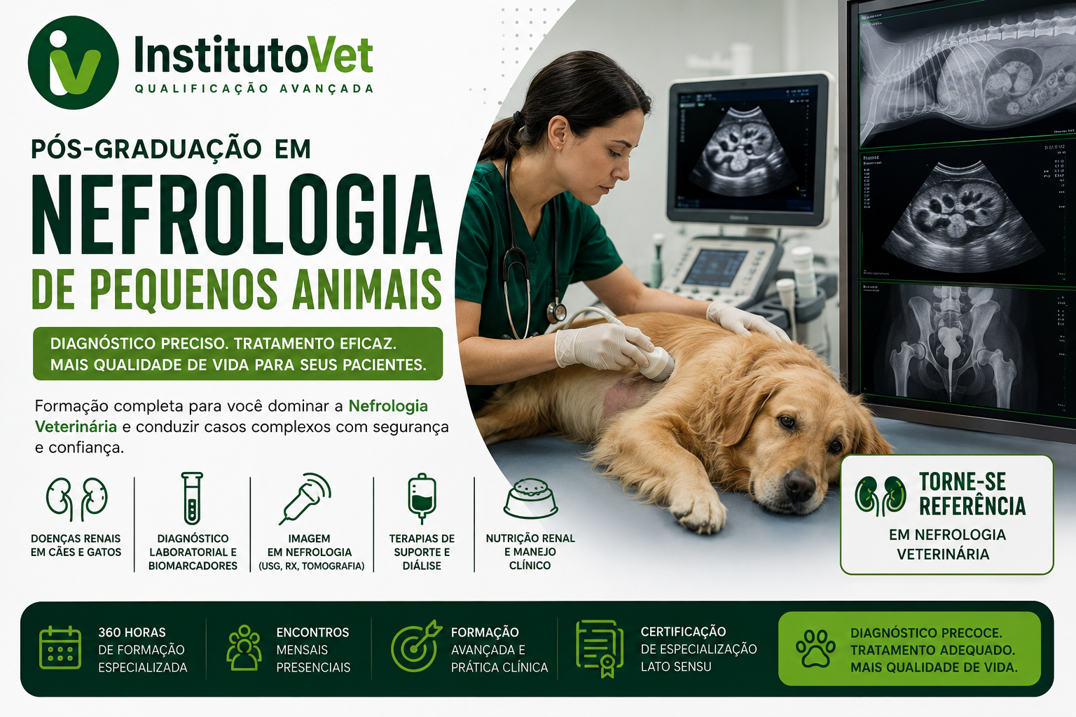 Instituto Vet