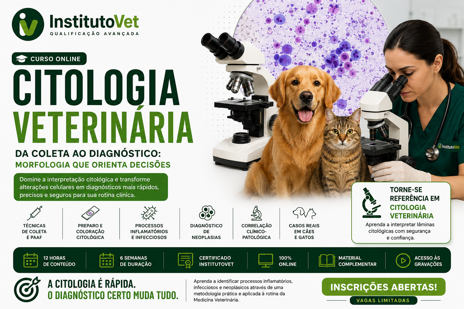 Instituto Vet