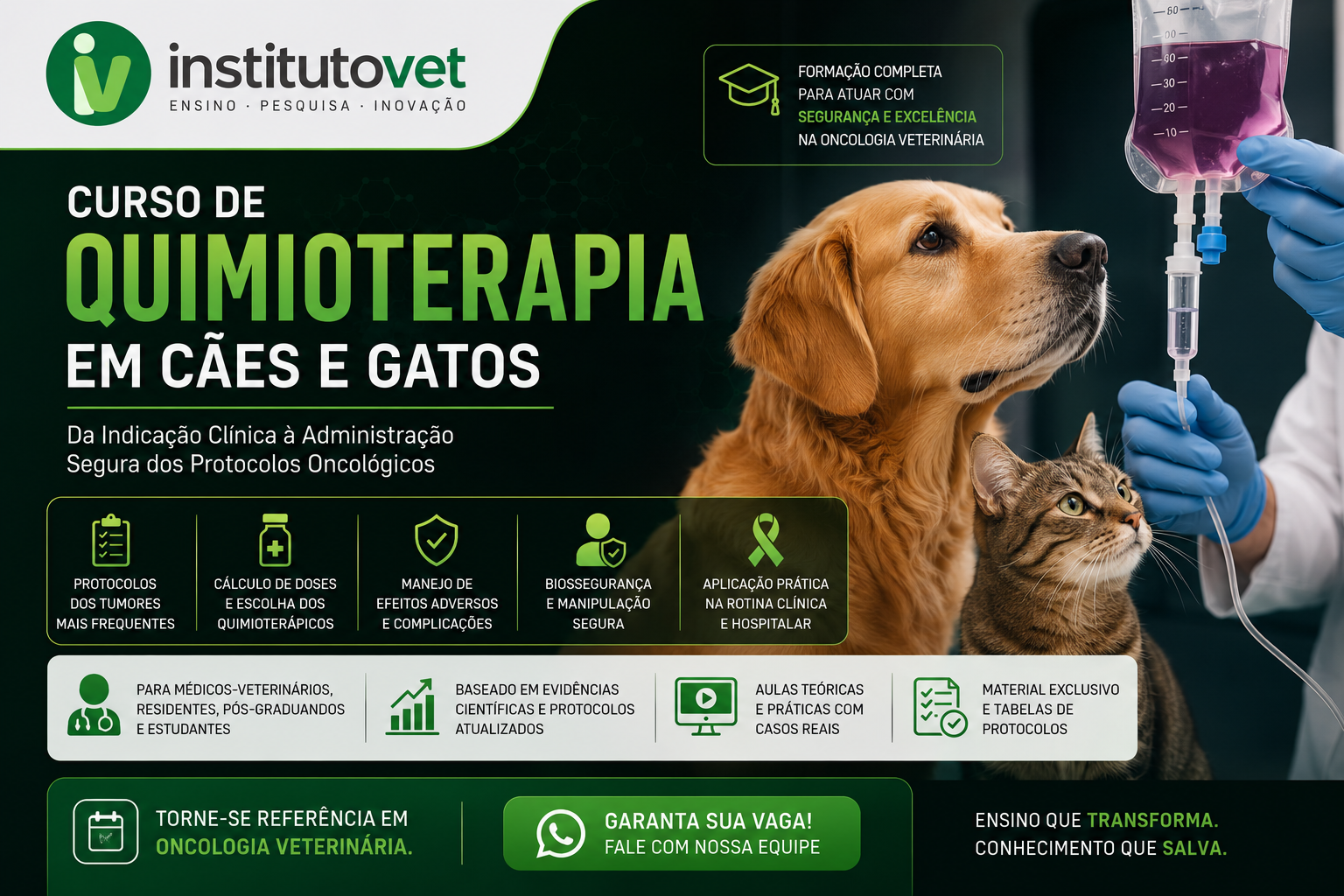 Instituto Vet