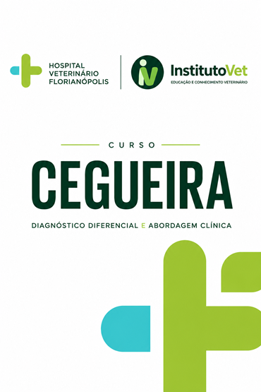 Cegueira