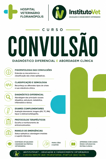 Convulsão