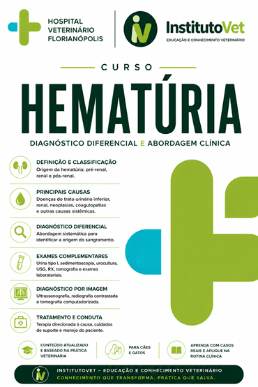 Hematúria