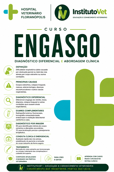 Engasgo